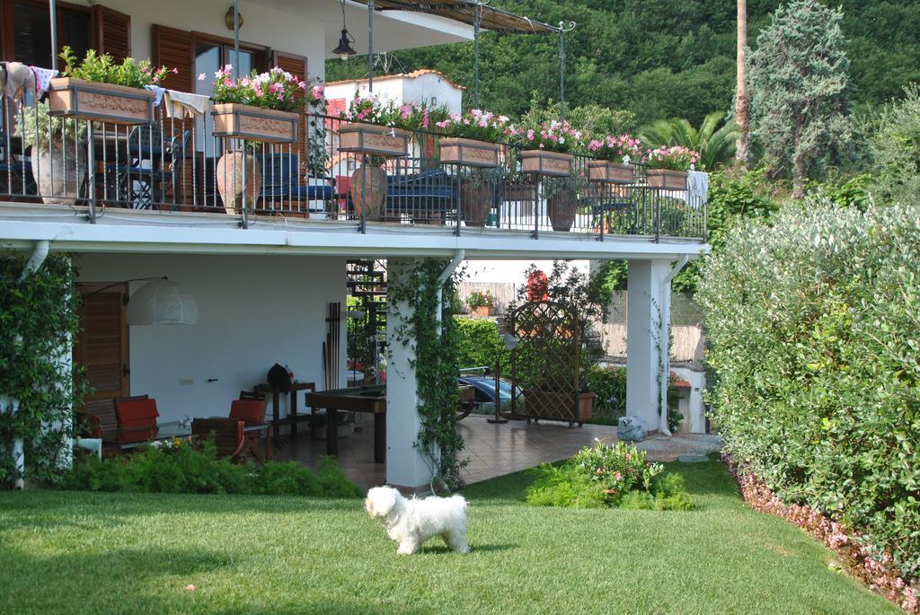 Casa Vacanze Villa Antonella By Gocce Vico Equense Eksteriør bilde